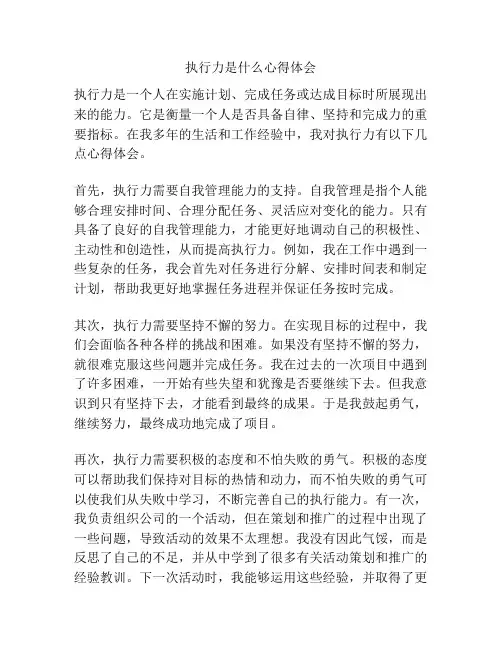 执行力是什么心得体会
