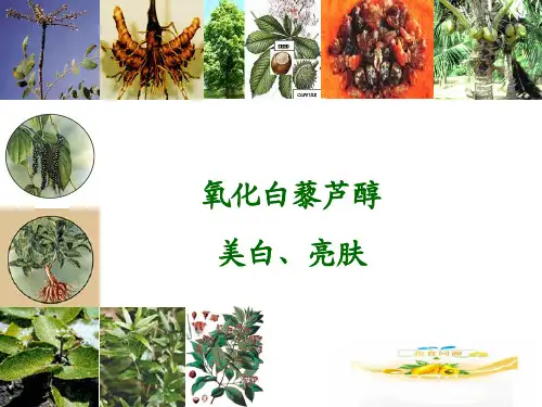 氧化白藜芦醇与美白亮肤
