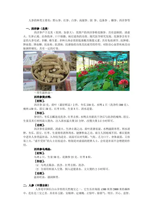 人参种类大全