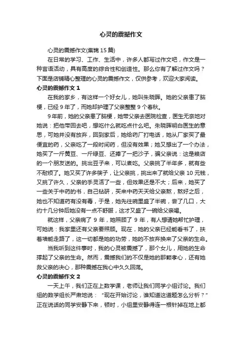 心灵的震撼作文
