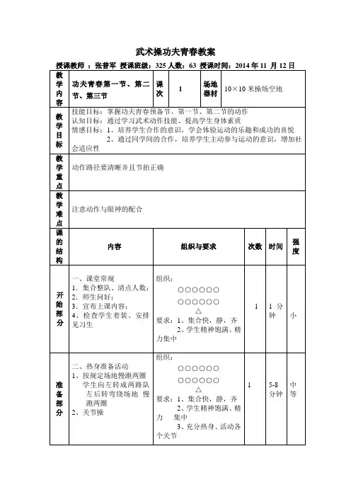 功夫青春1 (1)