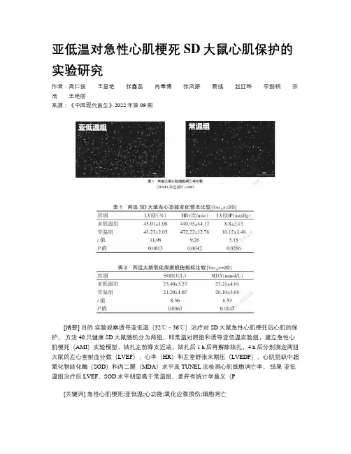 亚低温对急性心肌梗死SD大鼠心肌保护的实验研究