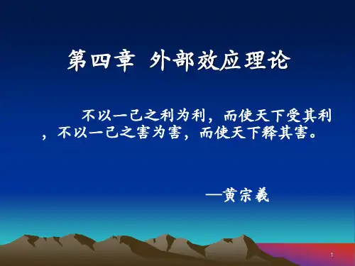 公共财政学(外部效应理论)