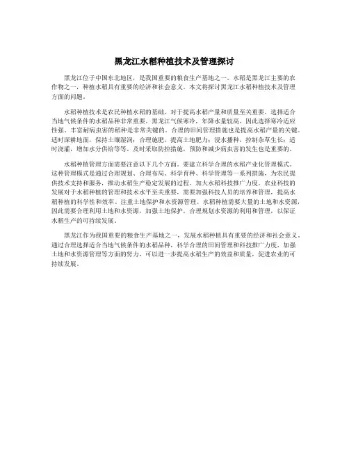 黑龙江水稻种植技术及管理探讨