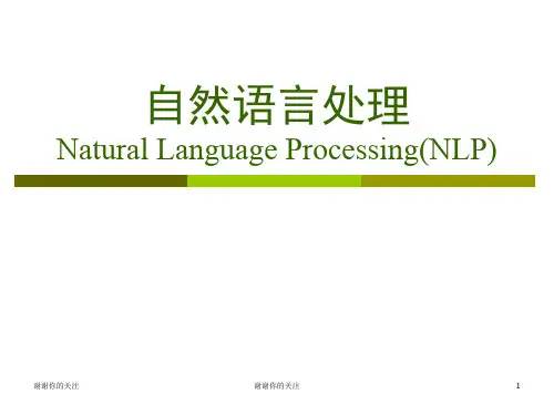 自然语言处理.pptx