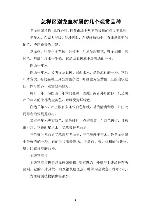 怎样区别龙血树属的几个观赏品种
