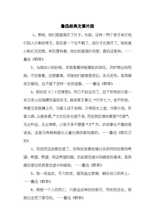 鲁迅经典文章片段