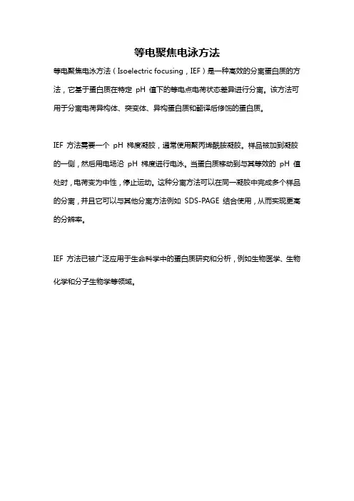 等电聚焦电泳方法
