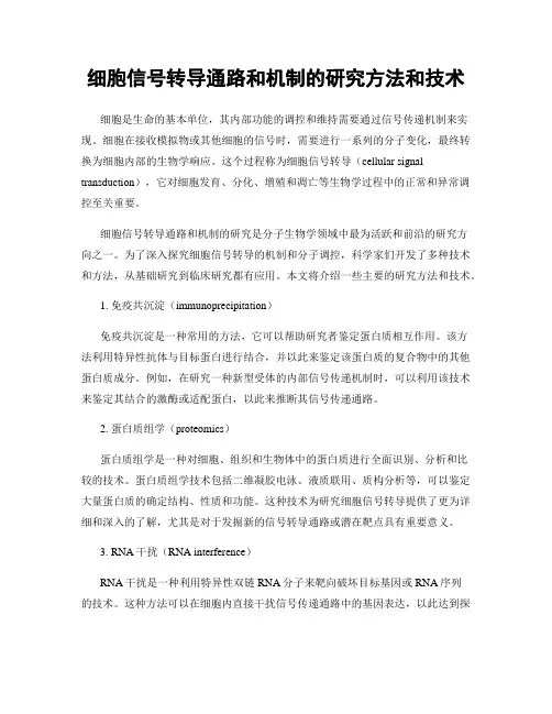 细胞信号转导通路和机制的研究方法和技术