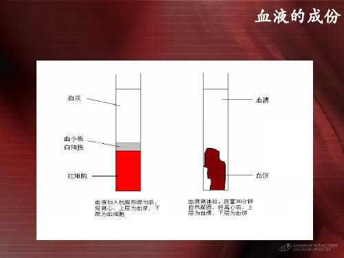 血常规讲义ppt课件