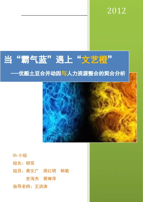 优酷土豆案例分析