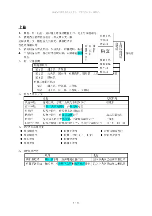 局部解剖学笔记整理
