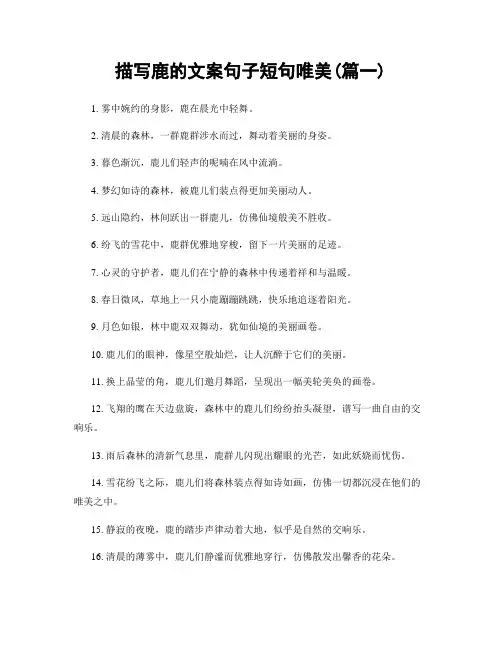 描写鹿的文案句子短句唯美(精选2篇)