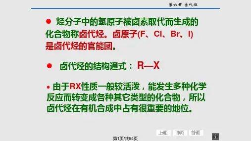 大学有机化学 卤代烃PPT课件