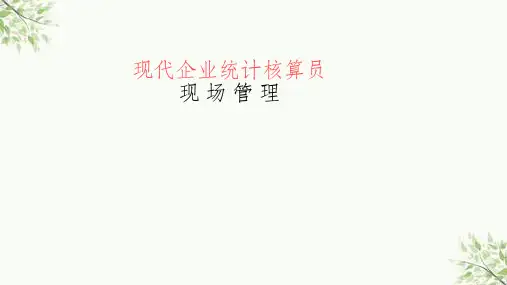 统计核算员培训资料课件