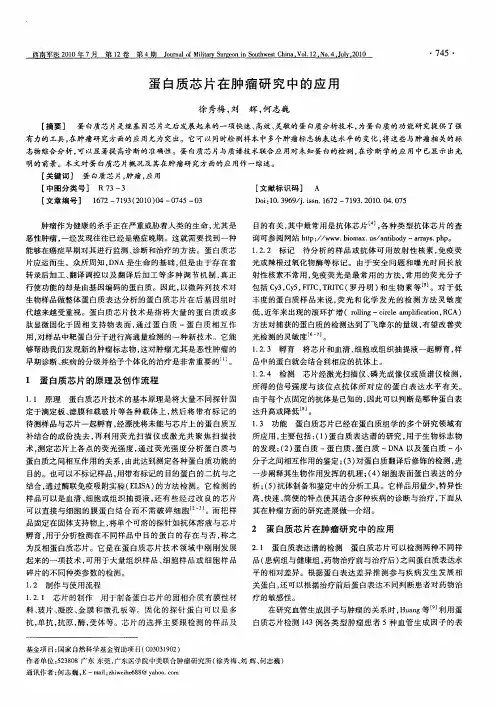 蛋白质芯片在肿瘤研究中的应用