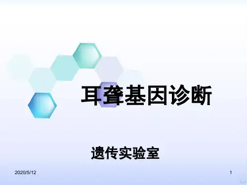 耳聋基因筛查PPT课件