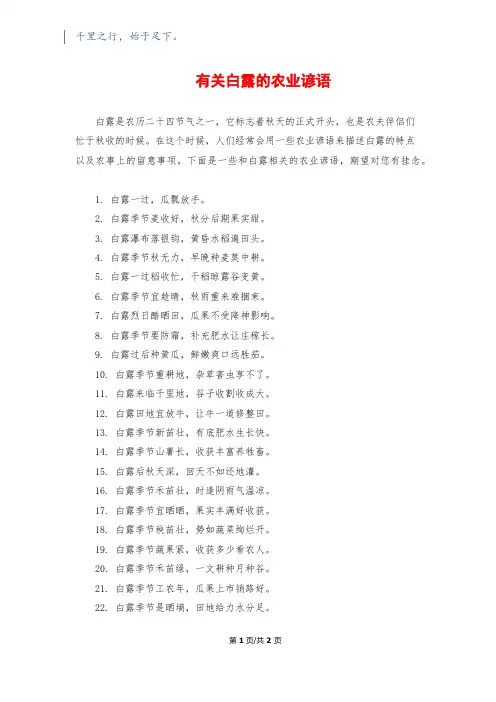 有关白露的农业谚语