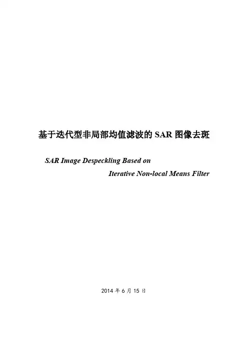 非局部均值滤波,SAR图像去噪