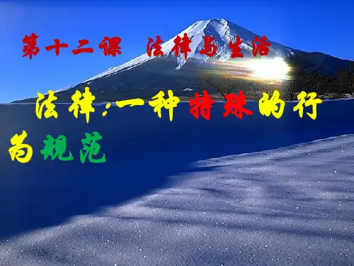 新教科版七年级道德与法治下册《五单元 无序与有序  第十二课 法律与生活》课件_11