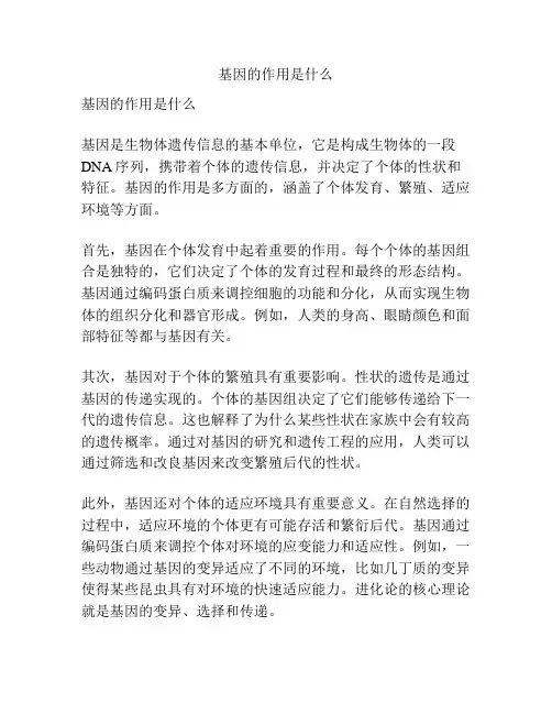 基因的作用是什么