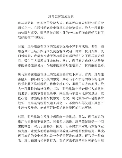 斑马旅游发展现状