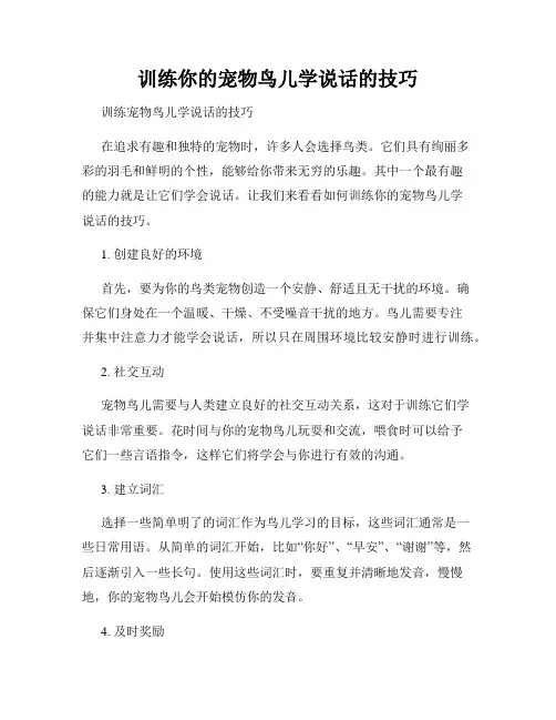 训练你的宠物鸟儿学说话的技巧