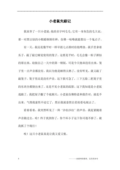小老鼠失踪记_五年级作文