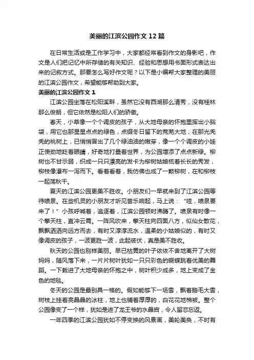 美丽的江滨公园作文12篇