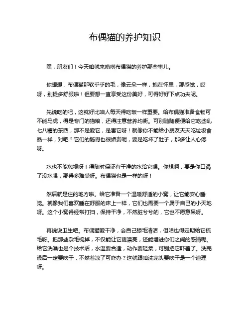 布偶猫的养护知识