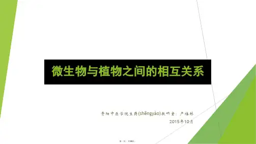 最新微生物与植物之间的关系研究精品课件