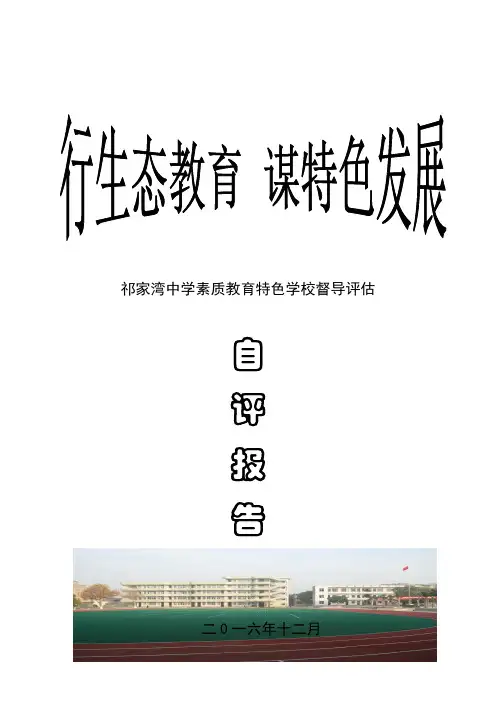 武汉市素质教育特色学校自评报告 成型版