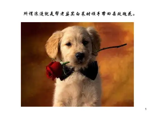 一张图一句话_诉说人生哲理PPT课件