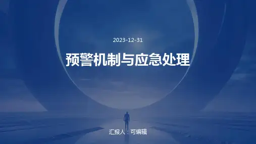 预警机制与应急处理