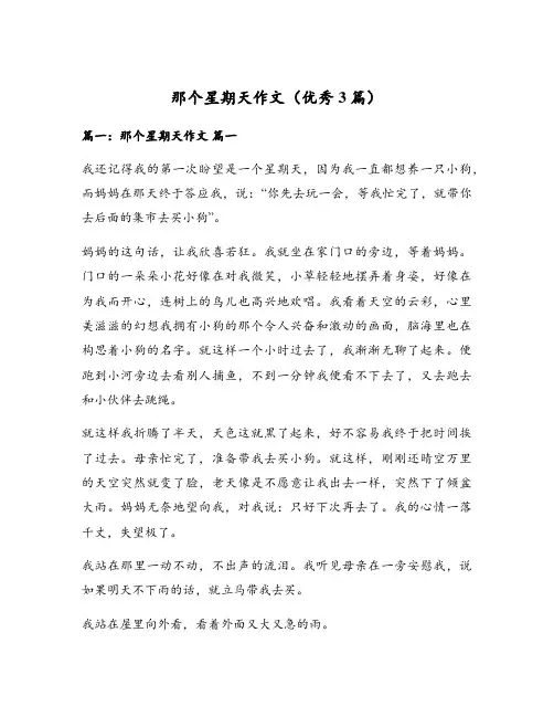 那个星期天作文(优秀3篇)