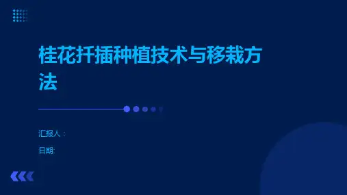 桂花扦插种植技术与移栽方法