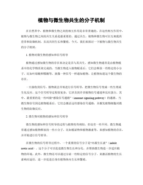 植物与微生物共生的分子机制