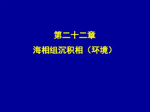 22海相组沉积相