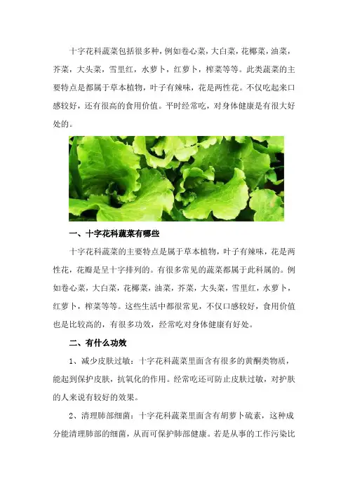 十字花科蔬菜有哪些,有什么功效
