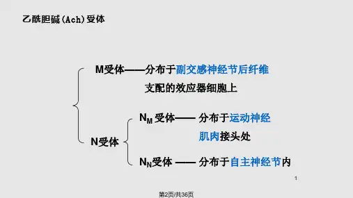 胆碱受体激动药和作用于胆碱酯酶药1