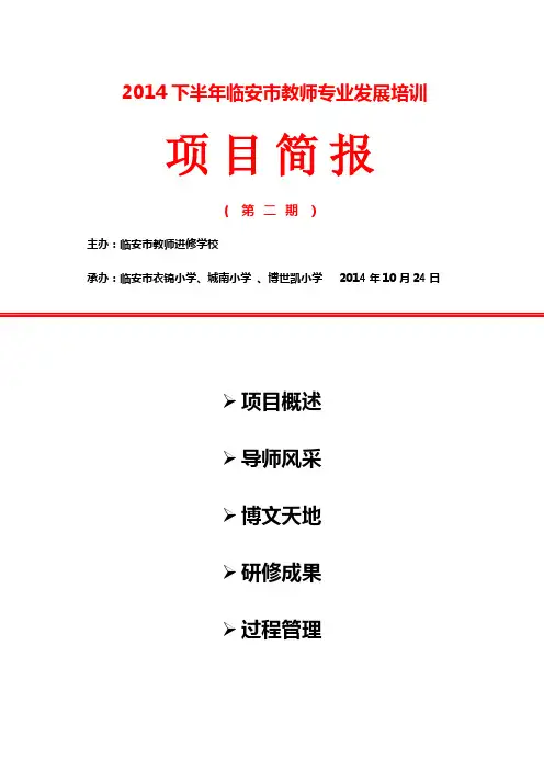 临安第二期项目简报小语