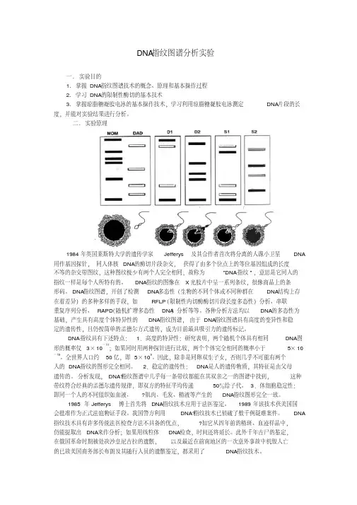 DNA指纹图谱分析实验