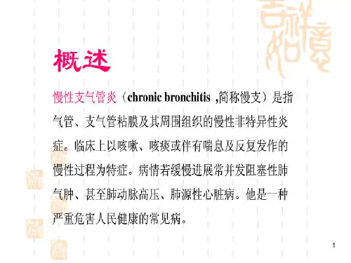 慢性支气管炎的护理 ppt课件