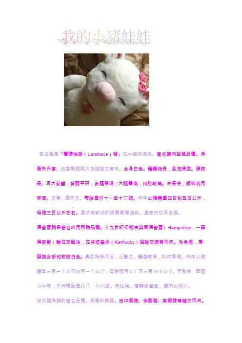 长白猪是兰德瑞斯(Landrace)猪在中国的通称著名腌...