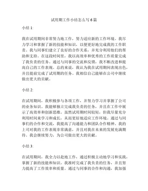 试用期工作小结怎么写6篇