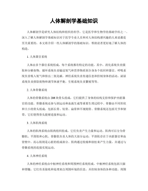 人体解剖学基础知识