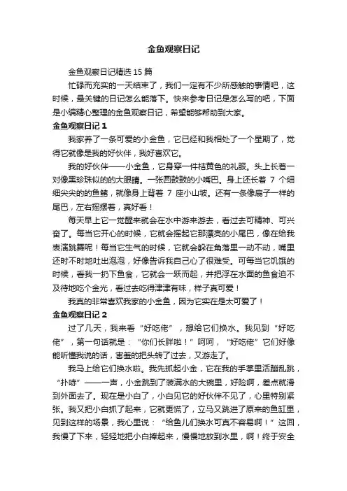 金鱼观察日记