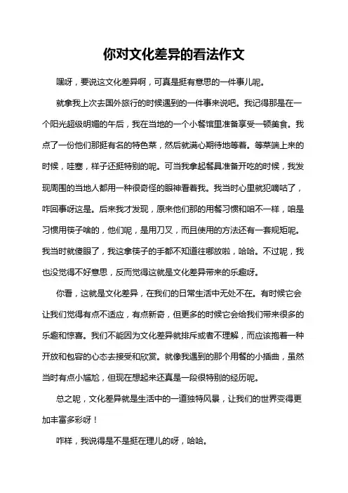 你对文化差异的看法作文
