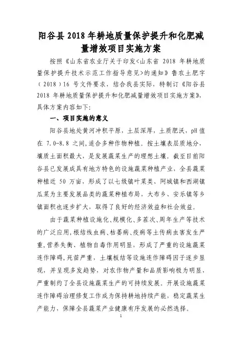 量增效项目实施方案