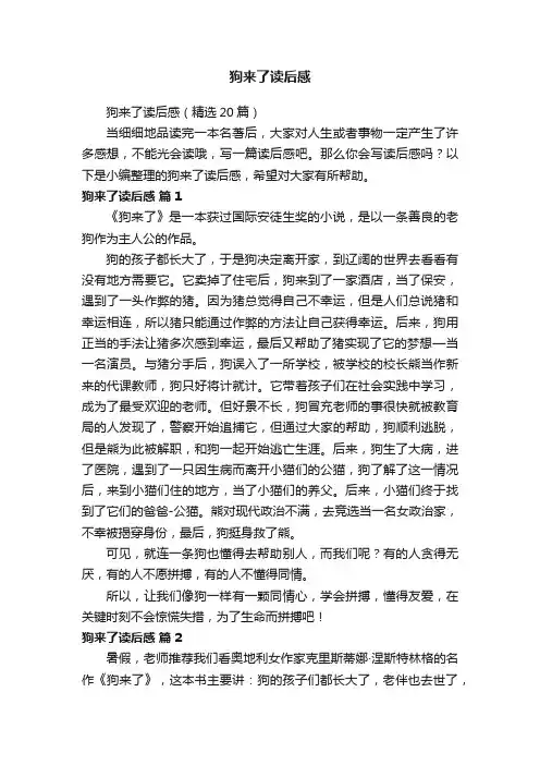 狗来了读后感